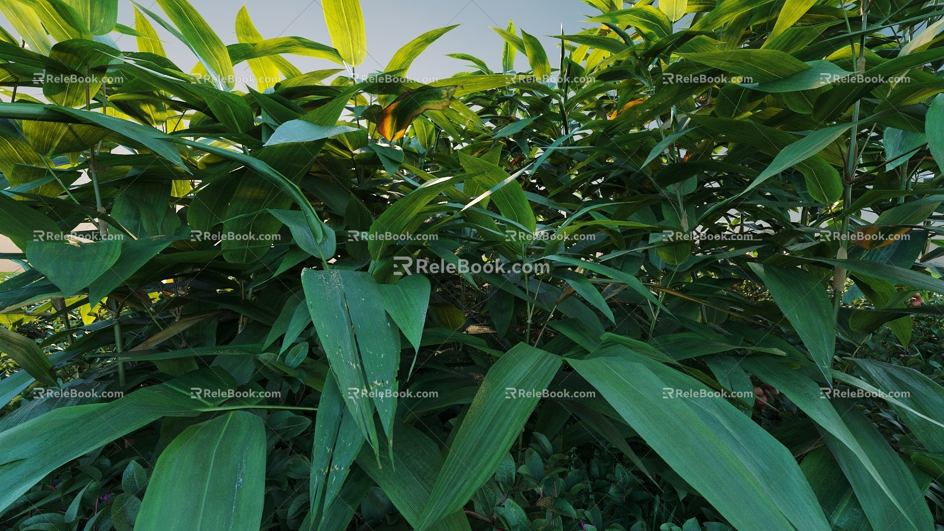 Landscape Shrub Shrub Plant Combination Natural Landscape 3d model