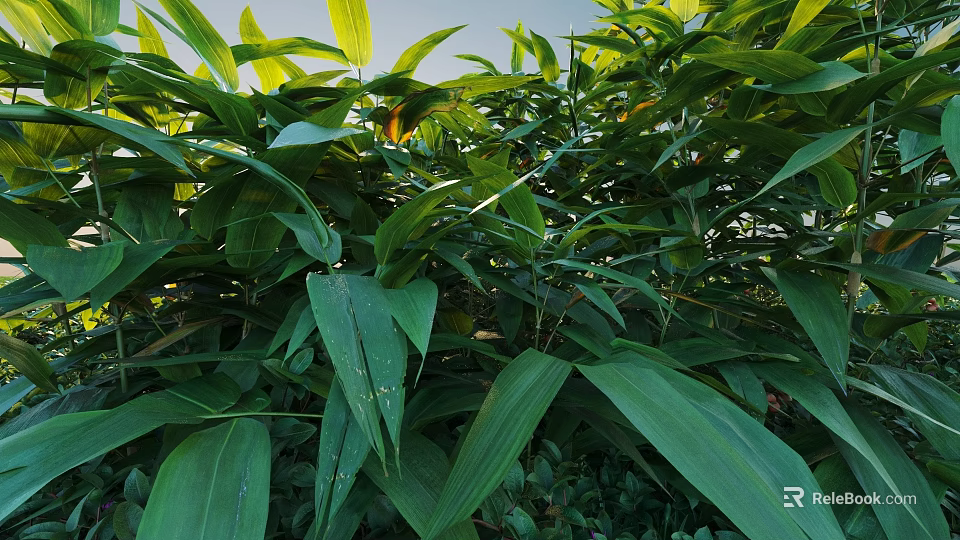 Lush Green Bushes With Vibrant Leaves Thriving In Sunlit Outdoor Garden Space 3d model 