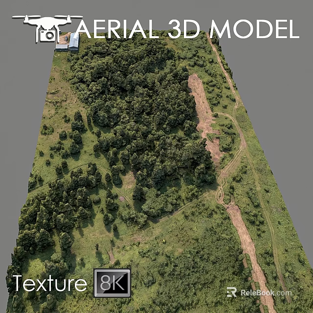 Delightful Garden Ornaments With Lush Greenery Pathway And Decorative Elements 3d model 