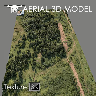 Modern gardening sketch aerial scanning scanning appearance forest 3d model
