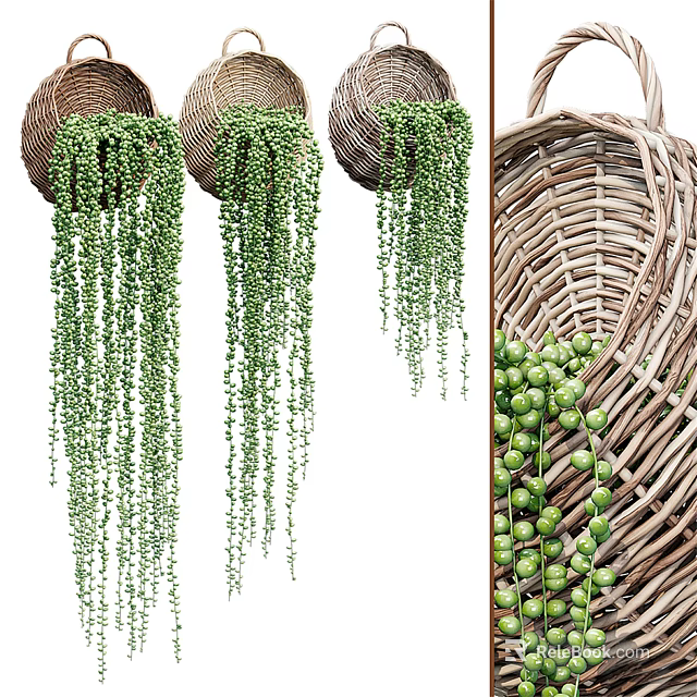 Wicker Hanging Basket Plants With Trailing Green Vines For Indoor Home Decor 3d model 