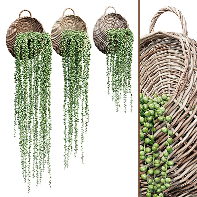 Wicker Hanging Basket Plants With Trailing Green Vines For Indoor Home Decor 3d model