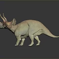 Colorful Detailed Triceratops Dinosaur Model in Realistic Standing Pose with Textured Skin