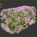 Lush Green Cube Shaped Plant Hedge With Dense Foliage And Trimmed Leaves