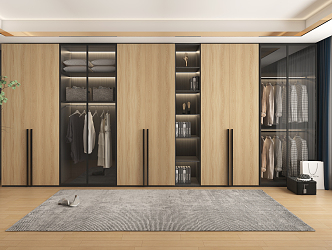 Modern wardrobe 3d model