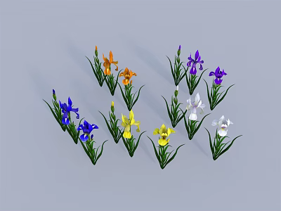 Colorful Iris Flowers in Orange Purple Blue Yellow White with Green Leaves Against Gray Background 3d model