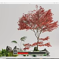 Tree Landscape Tree Red Maple Plant Pile 3d model