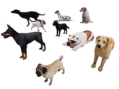 Various Dog Breeds In Different Poses Standing Sitting Lying On White Background 3d model