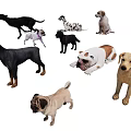 Various Dog Breeds In Different Poses Standing Sitting Lying On White Background