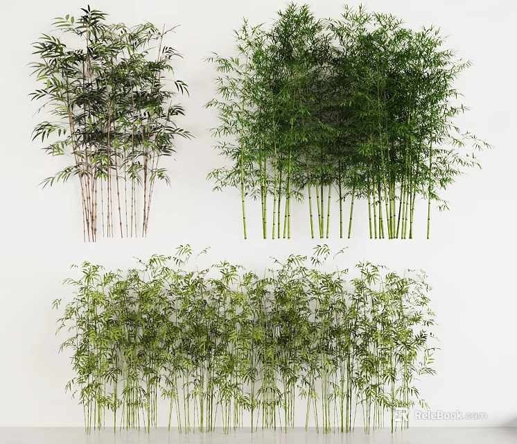 Different Types of Bamboo Plants For Landscaping With Various Heights And Green Foliage 3d model 