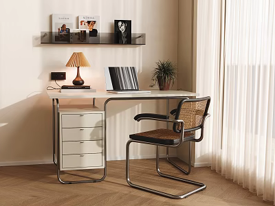 Modern Desk with Table Lamp Laptop Plant Shelf Books Drawer Cabinet and Woven Chair 3d model