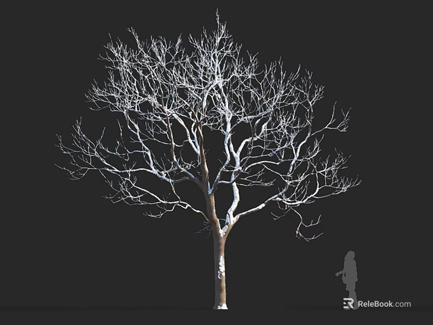 Leafless Tree With Straight Trunk Spreading Branches Against Black Background And Human Silhouette 3d model 