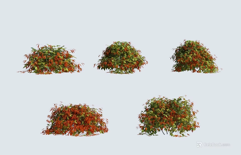 Different Types of Shrubs With Red and Green Leaves for Garden Landscaping 3d model 