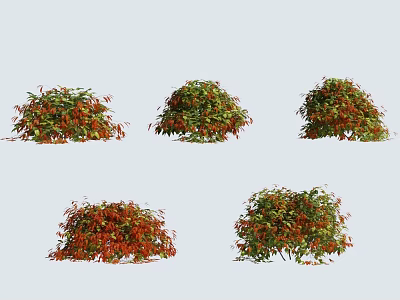 Different Types of Shrubs With Red and Green Leaves for Garden Landscaping 3d model