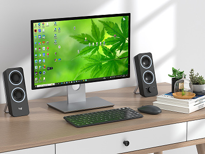 Modern computer monitor keyboard sound mouse succulent plant model