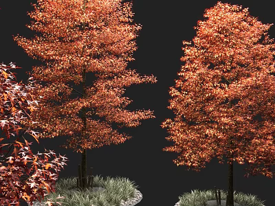 Autumn Orange Red Leaf Arbors With Green Grass And Red Foliage Companion Plants 3d model
