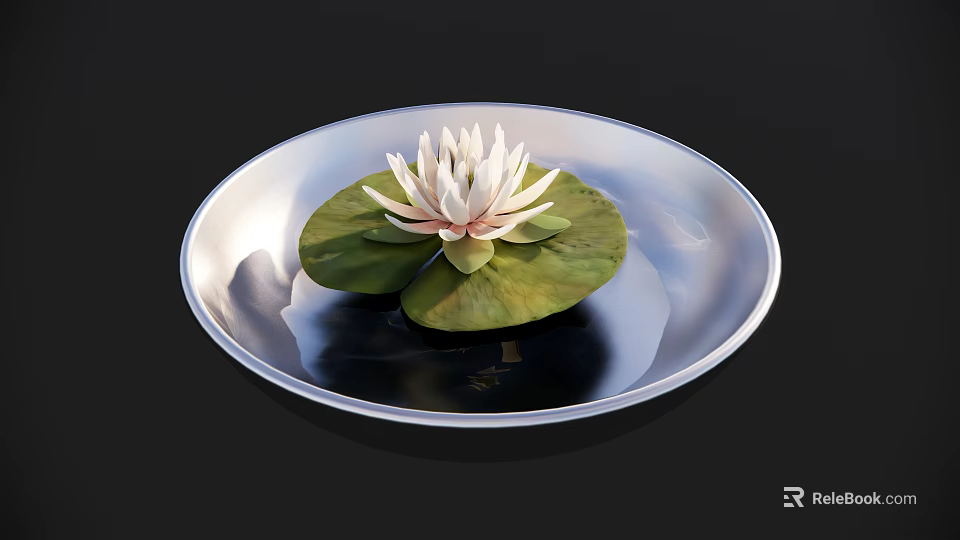 White Lotus With Green Lily Pads Floating On Water In Silver Plate Against Black Background 3d model 