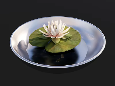 White Lotus With Green Lily Pads Floating On Water In Silver Plate Against Black Background 3d model