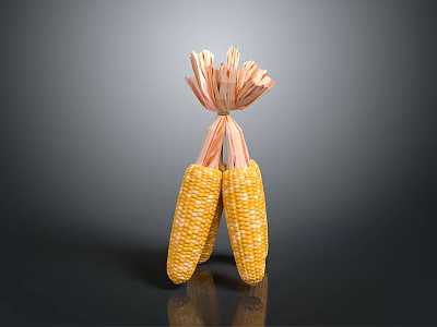 Fresh Two Corn Cobs With Golden Kernels And Soft Corn Silk On Top 3d model