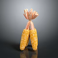 Fresh Two Corn Cobs With Golden Kernels And Soft Corn Silk On Top