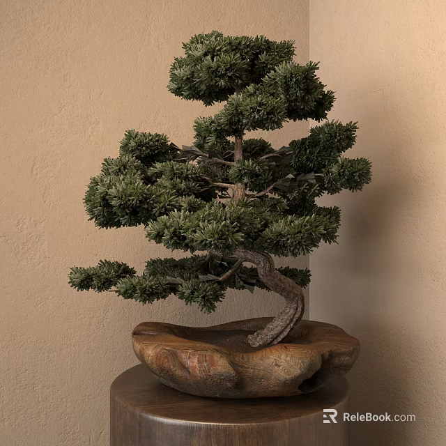Evergreen Arbor Bonsai With Twisted Trunk And Stone Base For Indoor 3d model 
