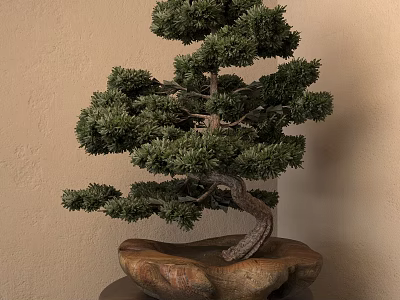 Evergreen Arbor Bonsai With Twisted Trunk And Stone Base For Indoor 3d model