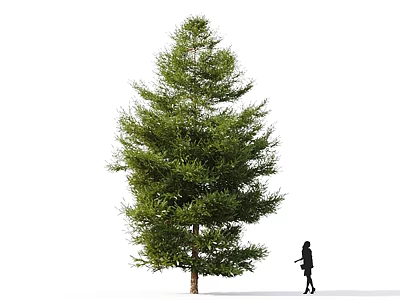 Tall Arbor With Lush Green Foliage And Little Girl Standing Beside 3d model