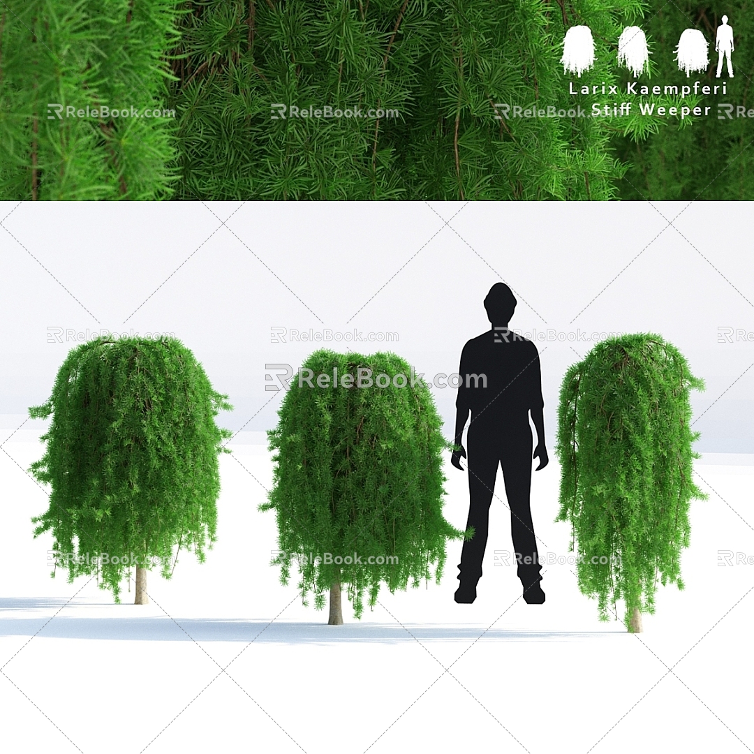 Plants 3d model