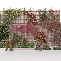 Vines On Bamboo Fence With Various Colored Flowers Small Plants And Stones At Bottom