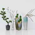 Elegant Ceramic Glass Vases With Pine Tree Branches And Small Green Plants 3d model