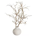 White Vase Decorated With Natural Dry Branches for Modern Home Interior Decoration