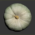Fresh Green and White Pumpkin with Yellow Stem on Gray Background