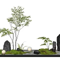 Indoor Landscape Design Featuring Small Trees Ferns Rocks Mossy Grass And Round Lights