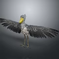 Modern Whalehead Stork Bootbeak Stork Whalehead Crane 3d model