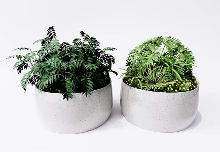 Modern potted plant potted plant flower bed 3d model