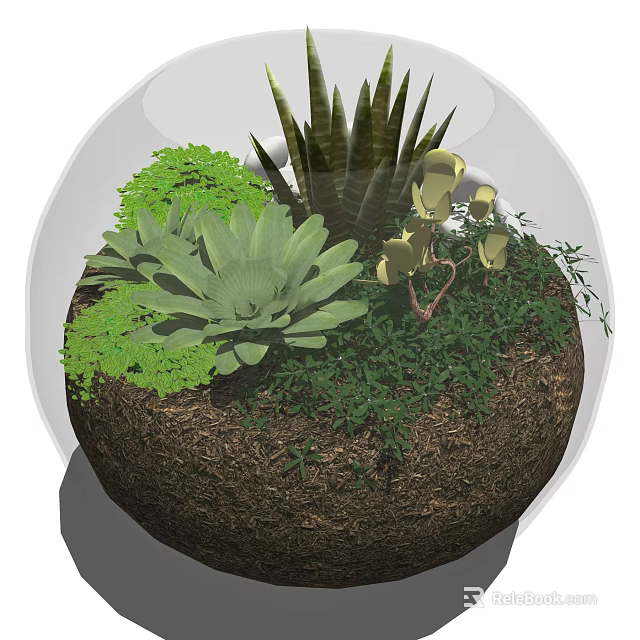 Bonsai Plant Pot With Various Green Succulents Ferns In Transparent Glass Container 3d model 