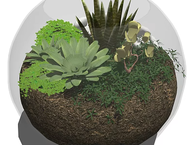 Bonsai Plant Pot With Various Green Succulents Ferns In Transparent Glass Container 3d model