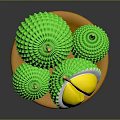 Fresh Cut Open Durian With Green Spiky Shell And Yellow Flesh On Golden Plate