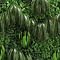 Indoor Living Plant Wall with Diverse Green Foliage and Lush Vegetation