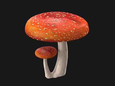Red Spotted Mushrooms Large And Small With White Spots White Stems Against Black Background 3d model