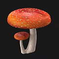 Red Spotted Mushrooms Large And Small With White Spots White Stems Against Black Background