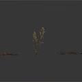Three Bundles of Dried Plants with Leaves and Branches on White Background