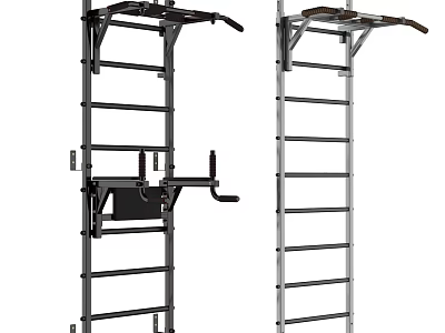 Multifunctional Home Gym Training Racks with Ladder Design and Pull Up Bars for Strength Workouts 3d model