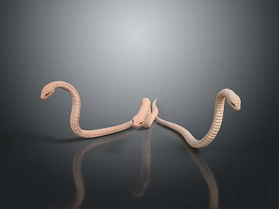 Two Light Brown Snakes Coiled Around Each Other On Dark Background With Reflection 3d model