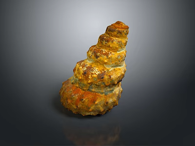 conch bone snail field snail shellfish marine animal fish freshwater fish marine fish animal 3d model