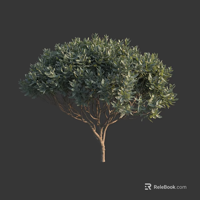 Arbor with Dense Green Foliage and Brown Trunk Isolated on Dark Background 3d model