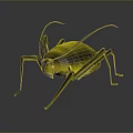 Yellow Insect With Long Antennae And Shiny Surface On Dark Background 3d model