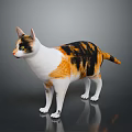 Calico Cat With White Black And Orange Fur Standing On Dark Background With Reflection