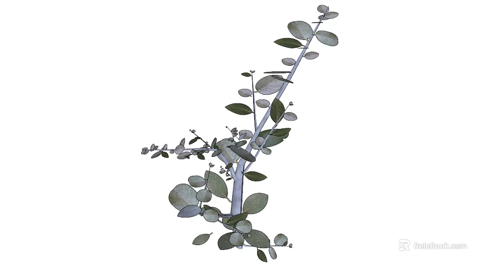 Natural Green Plant Branches With Multiple Fresh Leaves And Delicate Twigs 3d model 