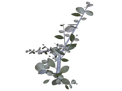 Natural Green Plant Branches With Multiple Fresh Leaves And Delicate Twigs 3d model